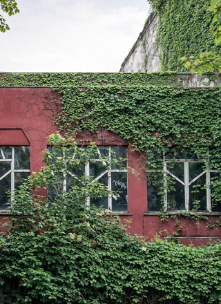 scuola stenier milano_arch